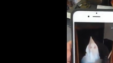 Las autoridades investigan los hechos