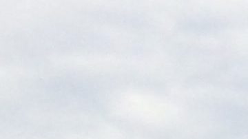 Miles de personas se pronunciaron en contra de Donald Trump en Los Ángeles. /Francisco Castro