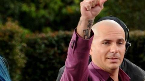 Pitbull
