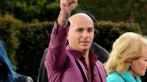 Pitbull