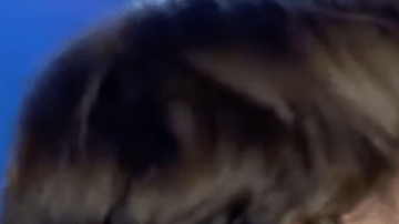 David Bisbal y Chenoa