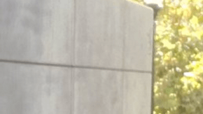 En UCLA se unieron en contra de Trump.