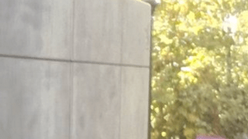 En UCLA se unieron en contra de Trump.