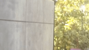 En UCLA se unieron en contra de Trump.