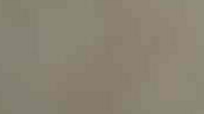 El incendio ya abarca cinco acres en Lake View Terrace.