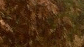 Las autoridades siguen en busca de la persona responsable en la Universidad Estatal de Ohio.