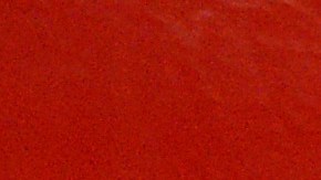 Daniel Suarez celebra con el trofeo del NASCAR XFINITY Series.