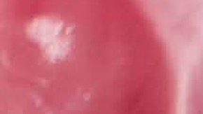 Emily ha creado tendencia con su sensualidad y un provocativo estilo.