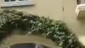 Casa de gobernador con licencia de Veracruz.