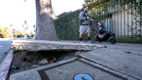 Acera deteriorada en Los Ángeles.