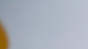 Durante la feria las empresas pueden recibir currículos, hacer entrevistas de trabajo e incluso contratar al momento.