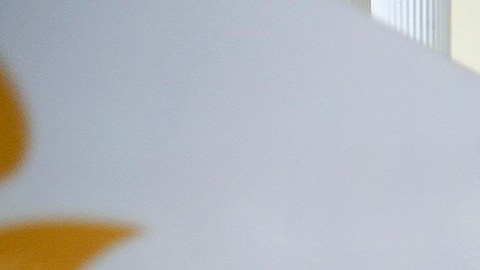 Durante la feria las empresas pueden recibir currículos, hacer entrevistas de trabajo e incluso contratar al momento.