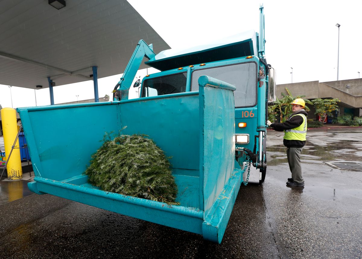 12/22/16/ LOS ANGELES/ City officials launch its 2016 Christmas Tree Recycling Program, during a press conference at the North Central District Yard in Los Angeles, which provides a variety of options for easy Christmas tree disposal. City officials highlighted alternatives and provided important fire safety tips.Ê Last year, nearly 100,000 trees were recycled and turned into mulch for use on public landscaping and gardens. City officials demonstrated a three-step process to recycle Christmas trees. LA Sanitation collection trucks demonstrated curbside and green-bin pickup of Christmas tree.  (Photo Aurelia Ventura/ La Opinion)