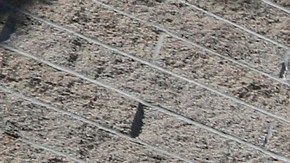 El DMV comenzó a emitir nuevas licencias para cumplir con la ley federal Real ID.