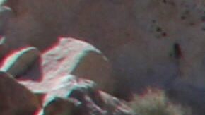 Muchas jóvenes escapan de América Central debido a la violencia, y son  violadas en el camino. EFE