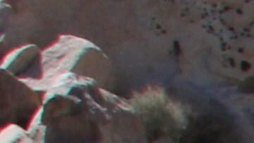 Muchas jóvenes escapan de América Central debido a la violencia, y son  violadas en el camino. EFE