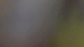 La lesión del francés ha sido lo más comentado previo a la gran Final.