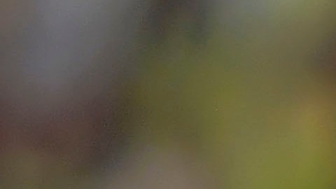 La lesión del francés ha sido lo más comentado previo a la gran Final.