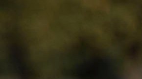 Además de los celestes, América y Monterrey pintan para campeones, según la vidente.