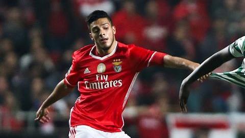 Raul Jimenez Benfica de Portugal