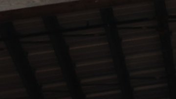 Donald Trump, presidente de Estados Unidos.