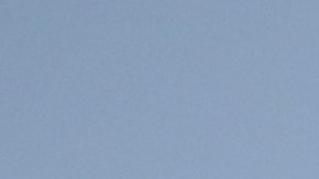 El sector de la agricultura sufriría por la mano de obra en caso de darse las deportaciones.