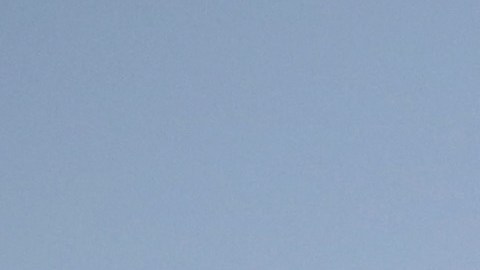 El sector de la agricultura sufriría por la mano de obra en caso de darse las deportaciones.