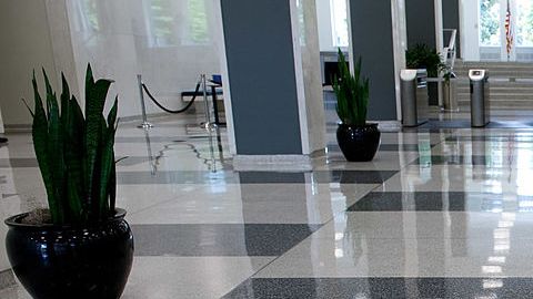The Central Intelligence Agency (CIA) lo