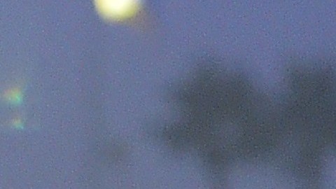 'Chicharito' y el Tri defenderán su campeonato de la Copa Oro durante el mes de julio.