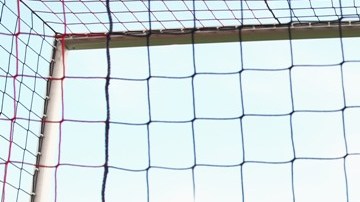 Callum Wilson del Bournemouth celebra el gol de su compañero Steve Cook.