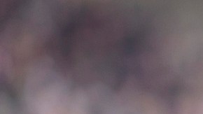 Marco Fabian Eintracht Frankfurt