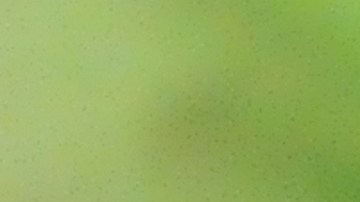 Gignac tuvo que ser trasladado al hospital.