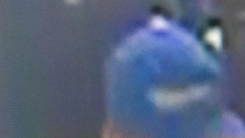 El sujeto es un hombre hispano de entre 40 y 50 años, que se dio a la fuga.