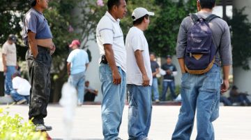 La mayor parte de los jornaleros son latinos e inmigrantes, y casi el 80% busca trabajo de manera informal.