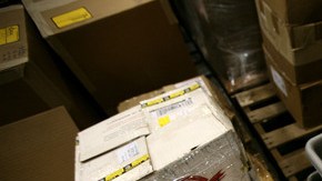 Entre las municiones que fueron enviadas, se encuentran piezas para rifles M-16 y AR-15, las cuales son armas militares.