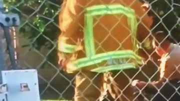 Video del enfrentamiento fue captado por un testigo.