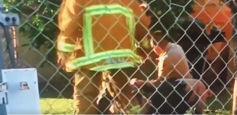 Video del enfrentamiento fue captado por un testigo.