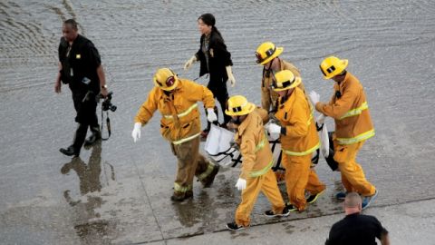 APPARENT SUICIDE