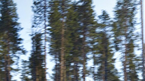 Jaguar F-Pace en la nieve
