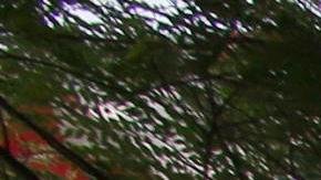 OdebrechtImage copyrightAFP
Image caption
Odebrecht se declaró culpable en el juzgado estadounidense.