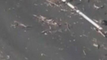 Un árbol caído bloquea la autopista 101 en Studio City.
