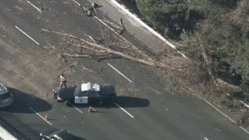 Un árbol caído bloquea la autopista 101 en Studio City.