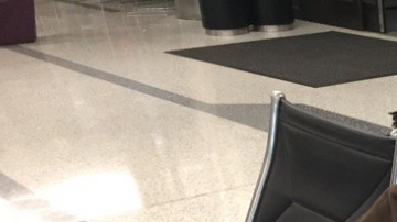 Cientos de personas se han visto afectadas por las demoras.
