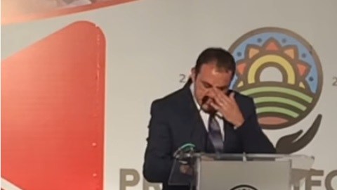 Cuauhtémoc Blanco, alcalde de Cuernavaca.