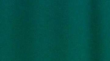 Carlos Slim y Donald Trump.