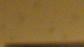 Cardinale, de 35 años, dio ayer su testimonio ante la junta de supervisores de San Bernardino.