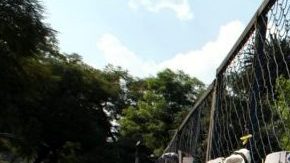 Varias secretarías que defienden a los migrantes están implementando diversos proyectos para apoyarlos en su vuelta a México.