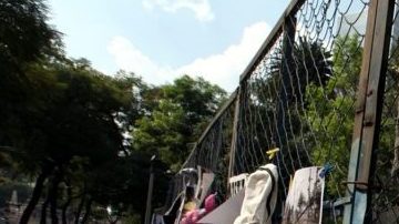 Varias secretarías que defienden a los migrantes están implementando diversos proyectos para apoyarlos en su vuelta a México.