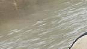 La Patrulla Fronteriza rescató a una niña varada en una isla en el Río Grande.