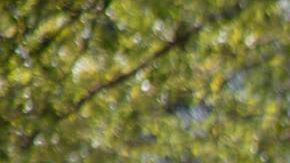 Una estudiante usa su ordenador en  Shanghái.